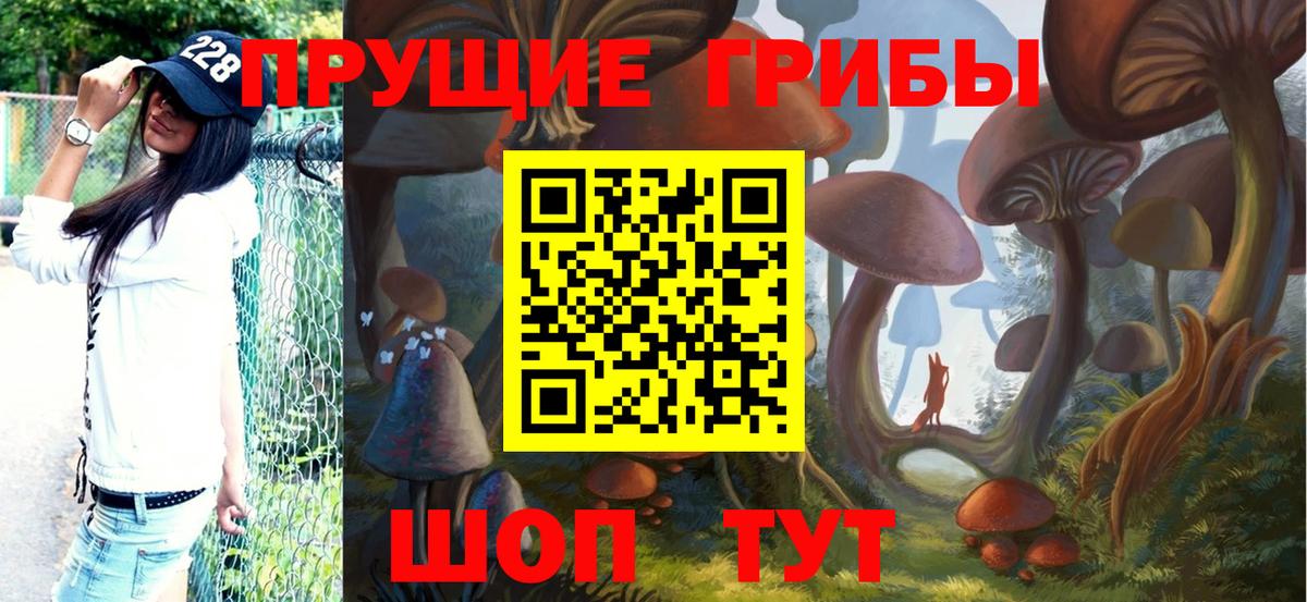Галлюциногенные грибы Psilocybine cubensis Белгород